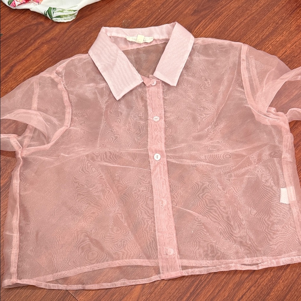 Sheer Light Pink Button-Front Collared Blouse